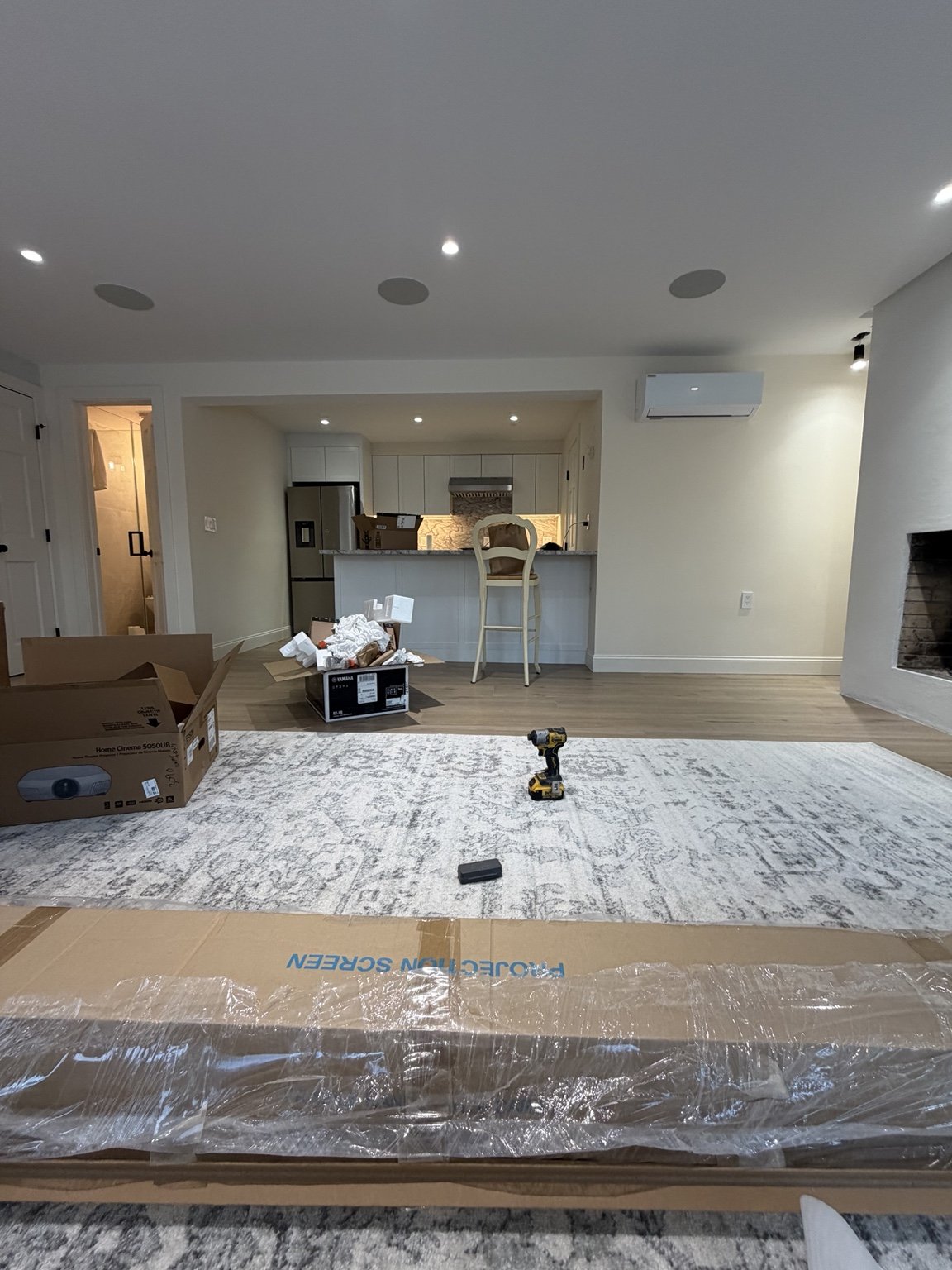 Renovated Living Space and Kitchen